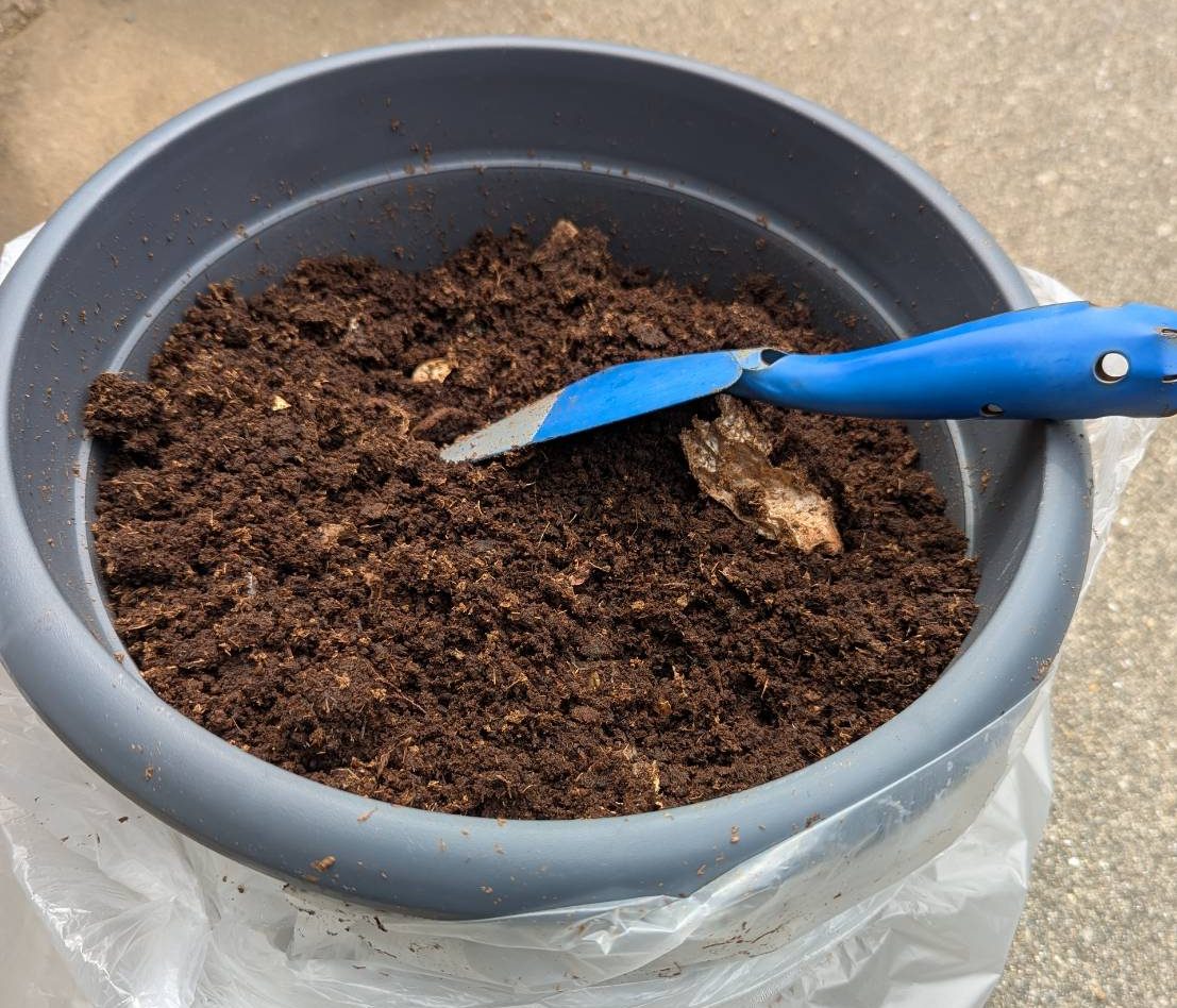 コンポストコミュニティ～コンポスト作成ワークショップ～